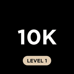10K Level 1