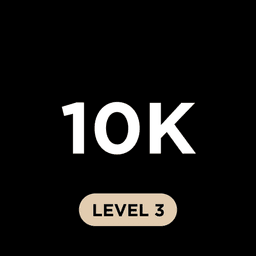 10K Level 3