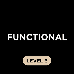 Functional Level 3