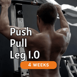 Push/Pull/Leg 1.0