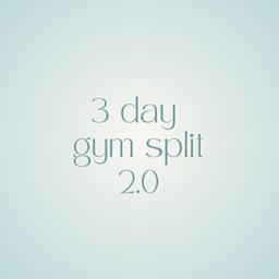 3 Day Gym Split 2.0