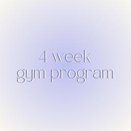 Gym Program 1.0