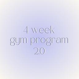 Gym Program 2.0