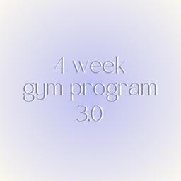Gym Program 3.0