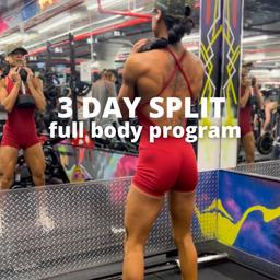 Full Body 3 Day Split