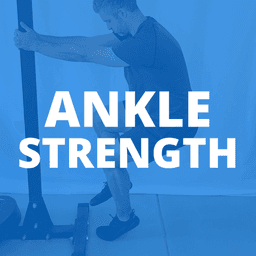 Ankle Strength
