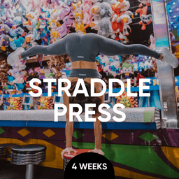 Straddle Press Program