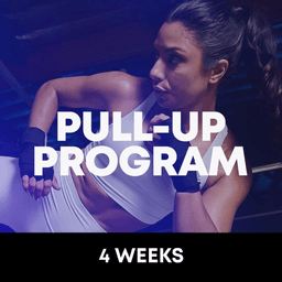 Pull-Up Program