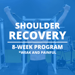 Shoulder Recovery