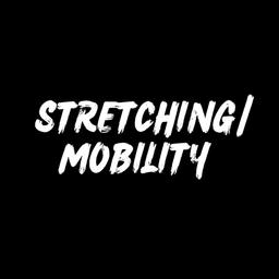 Stretching/Mobility