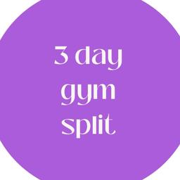 3 Day Gym Split 2.0