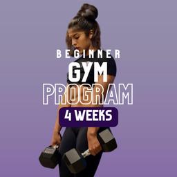 Beginner Gym Program