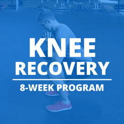 Knee Recovery