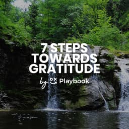 Gratitude - 7 steps