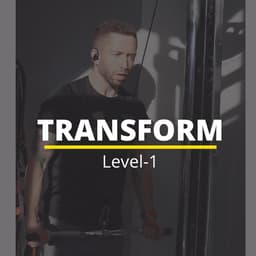 Transform - Level 1