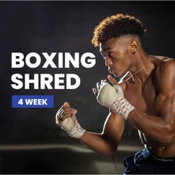 Boxing shred