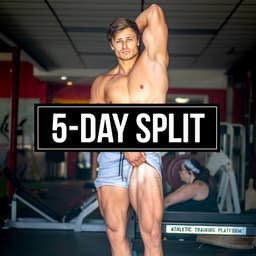 5-Day Training Split