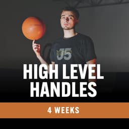High Level Handles