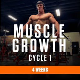 Muscle Growth cycle 1