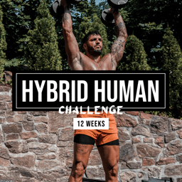 Hybrid Human Challenge