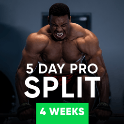 5 Day Pro Split