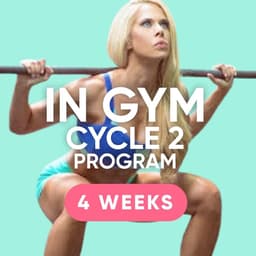 Gym Cycle 2