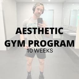 Gym Aesthetic Program