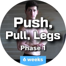Push Pull Legs Phase 1