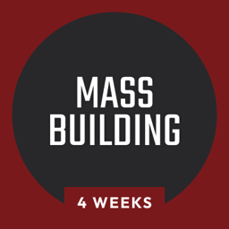 Mass Building Program