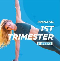 1st Trimester Prenatal
