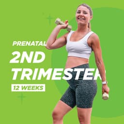 2nd Trimester Prenatal
