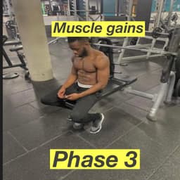 Muscle building phase3