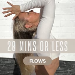 20 min or less Flows