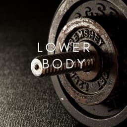 Lower Body