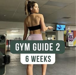 Gym Guide 2