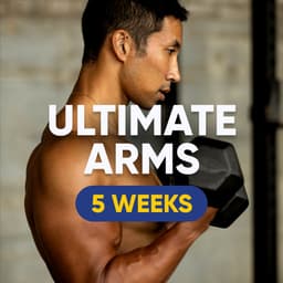 Ultimate Arms