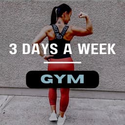 January | 3 Day Gym