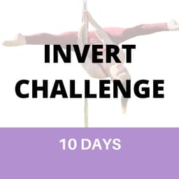 Invert Challenge
