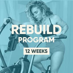 Rebuild program