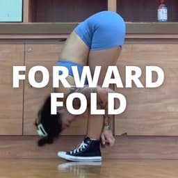 Forward fold program