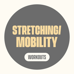 Stretching & Mobility