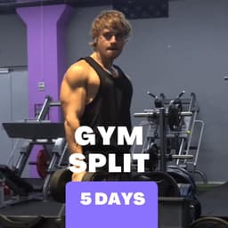 5-Day Workout Split