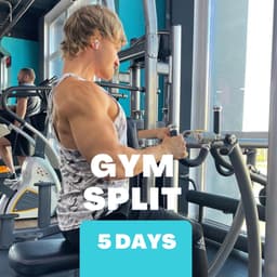 5-Day Workout Split