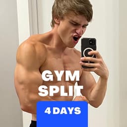 4-Day Workout Split