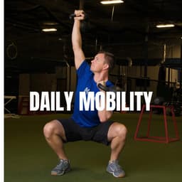 DAILY MOBILITY