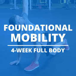 Foundational Mobility