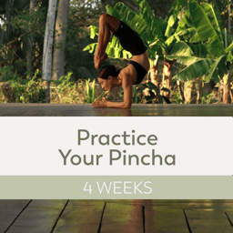 Practice Your Pincha