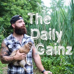 The Daily Gainz