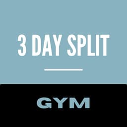 3 Day Gym