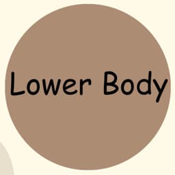 Lower Body Focused